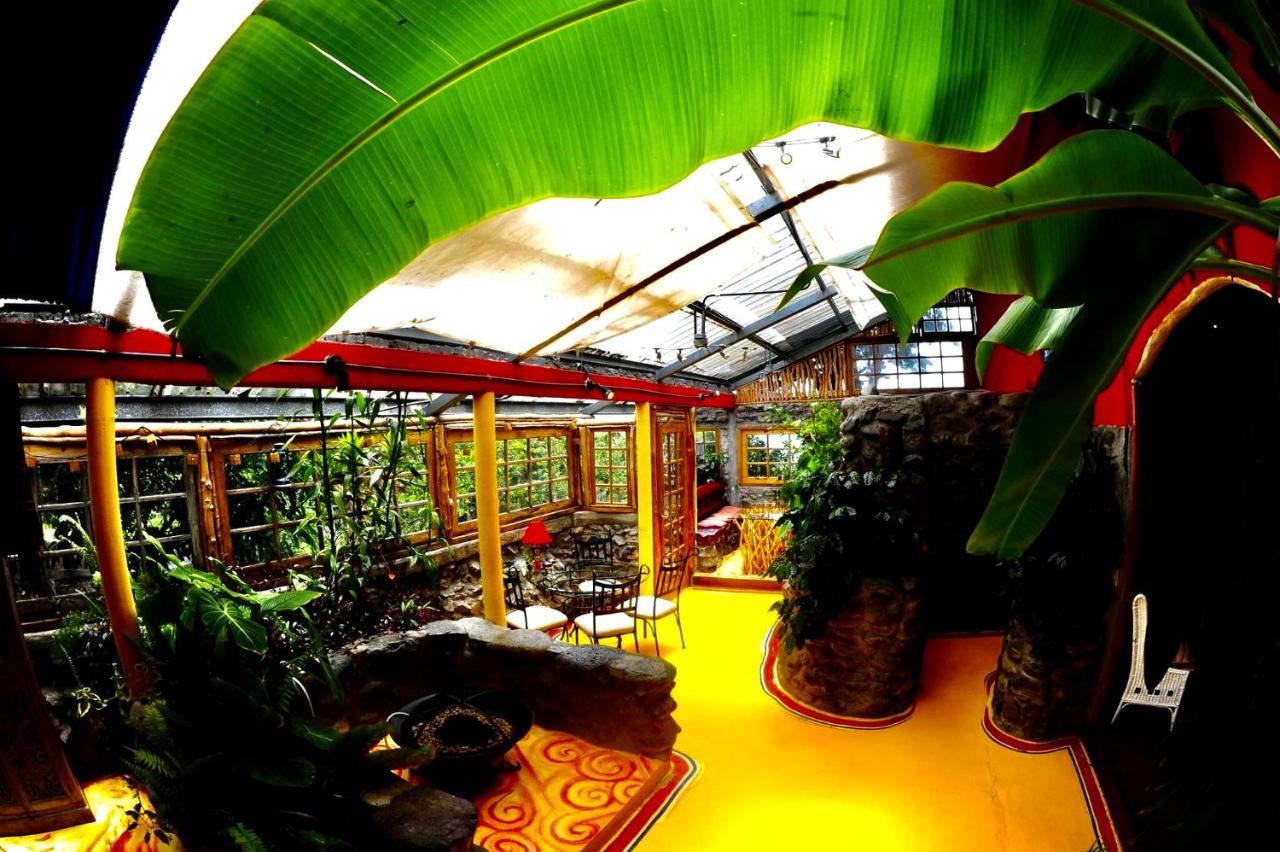 El Refugio La Brisa Del Diablo Bed & Breakfast Valle Hornito Ngoại thất bức ảnh