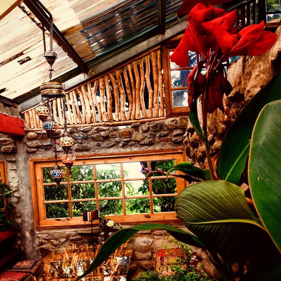 El Refugio La Brisa Del Diablo Bed & Breakfast Valle Hornito Ngoại thất bức ảnh